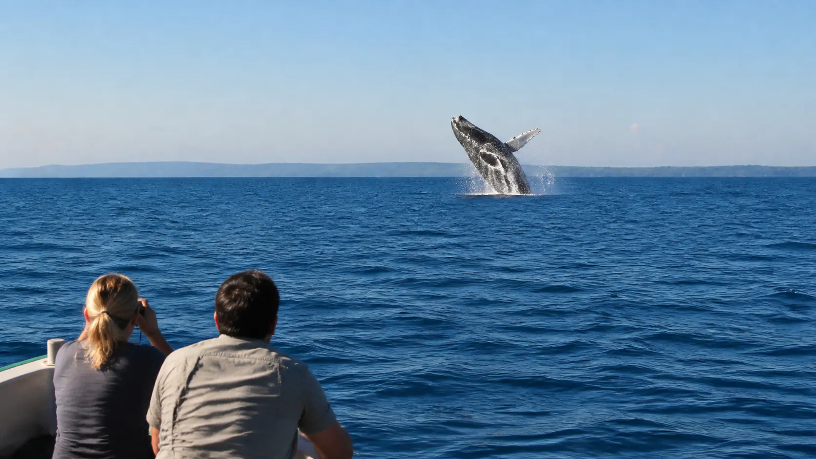 Humpback Whale Watching in Nosy Be — additional photograph 2